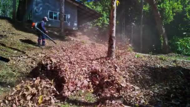 Trabalhadores Que Usam Sopradores Folhas Para Limpar Folhas Que Caem — Vídeo de Stock