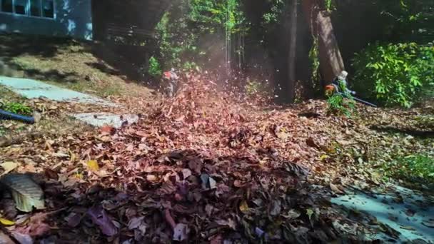 市立公園の葉をきれいにするために葉の送風機を使用する労働者 — ストック動画