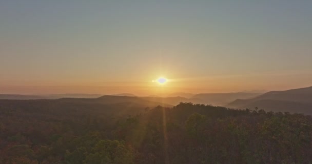 Panorámás Légi Kilátás Gyönyörű Napfelkelte Felett Egy Nagy Erdő Őszi — Stock videók