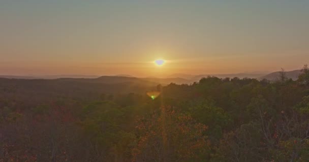 从空中俯瞰一座大森林上美丽的日出 高山上的秋天风景 生机勃勃的树叶和美丽的风景整个森林的树叶都在变色 — 图库视频影像