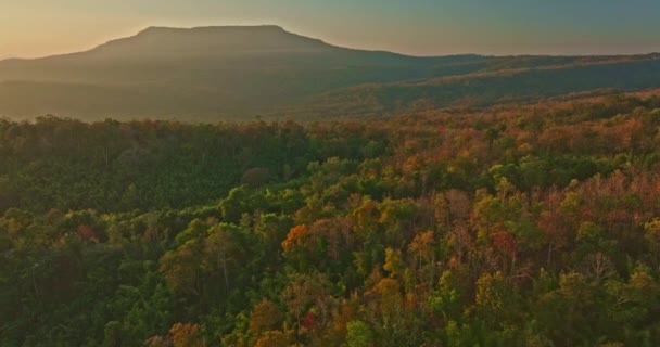 Vista Aérea Árvores Coloridas Outono Montanhas — Vídeo de Stock