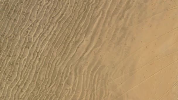 Αεροφωτογραφία Των Επίπεδων Κυμάτων Λευκή Αμμώδη Παραλία Στο Μπάφαλο Κόλπο — Αρχείο Βίντεο