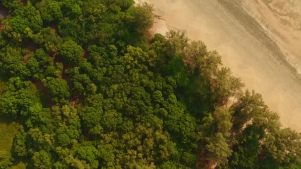 Вид Воздуха Прекрасную Природу Пляже Буффало Острове Пхаям Ранонг Таиланд — стоковое видео