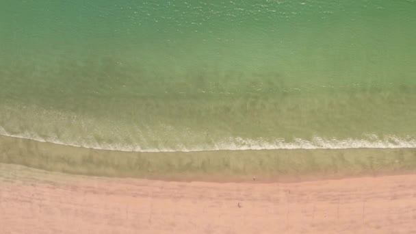 Αεροφωτογραφία Της Λευκής Παραλίας Και Της Πράσινης Θάλασσας Στον Κόλπο — Αρχείο Βίντεο