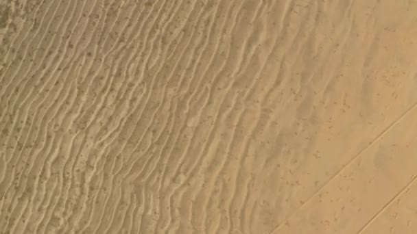 Αεροφωτογραφία Της Λευκής Αμμώδους Παραλίας Στον Κόλπο Του Μπάφαλο Στο — Αρχείο Βίντεο