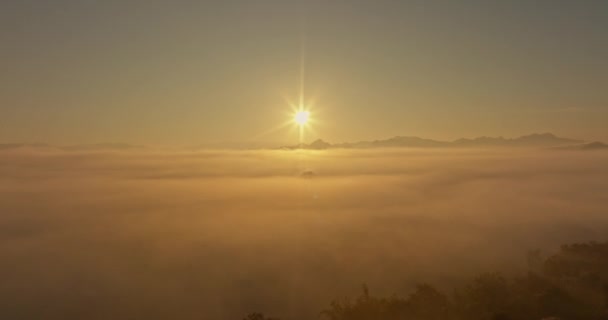 Légi Kilátás Reggeli Nap Arany Fénye Köd Tengere Felett Völgyben — Stock videók