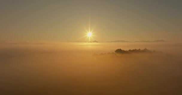 Αεροφωτογραφία Χρυσό Φως Του Πρωινού Ήλιου Πάνω Από Θάλασσα Της — Αρχείο Βίντεο