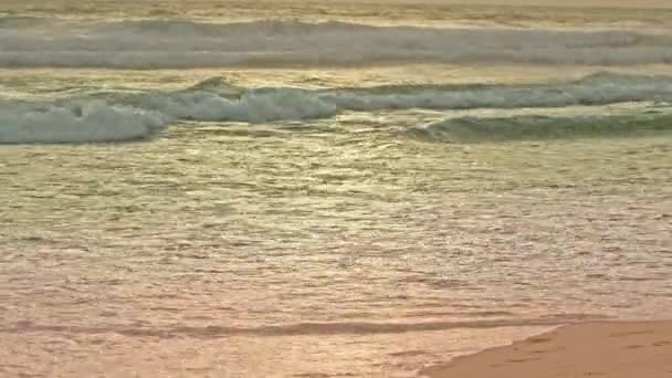 景色の眺め 波はゆっくりと波を熟して 魅惑的な効果を作り出します 水の深い青緑色の色は波の白い泡と対照します 夏の黄金の砂そして白い泡立った水 — ストック動画