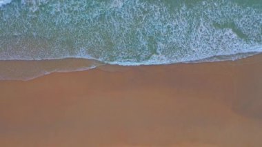 Kızıl ağaçla özçekim yapan kırmızı tesettüre bürünmüş şirin bir İslami kadın. Mutlu ve rahat görünüyor, manzaranın tadını çıkarıyor. Bangkok 'un merkezinde dolaşırken fotoğraf çektirmek için mutlu bir şekilde poz veriyor..