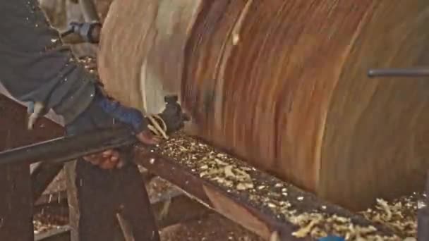 Рабочие Используют Стальные Шипы Резки Поверхности Древесины — стоковое видео