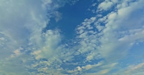 Nuvole Bianche Nel Cielo Blu Sole Splende Attraverso Uccelli Che — Video Stock