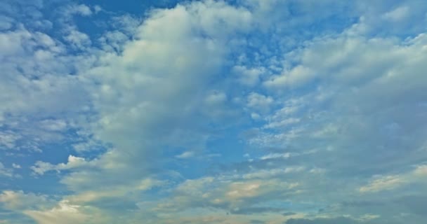 青空の白い雲 太陽が輝いている 空を飛ぶ鳥 吹く風 雲が動き 風の力で形を変える 空に美しい自然 — ストック動画