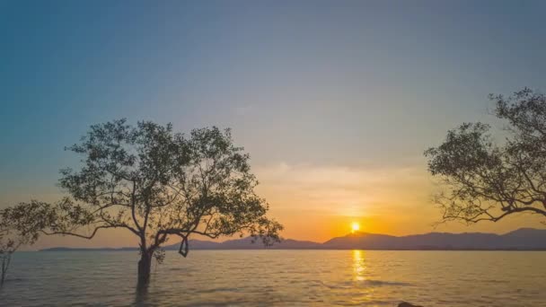 Czas Upływa Piękny Zachód Słońca Przerwie Drzew Namorzynowych Niebo Było — Wideo stockowe