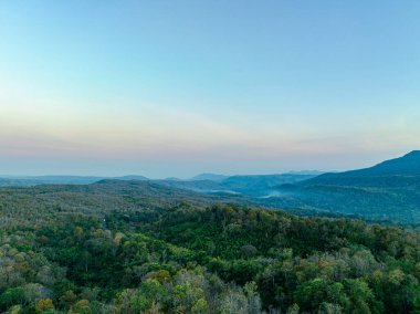 Renkli yapraklar Adorns Taşları ve Doğa Toprakları 