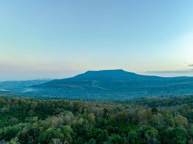 Renkli yapraklar Adorns Taşları ve Doğa Toprakları 