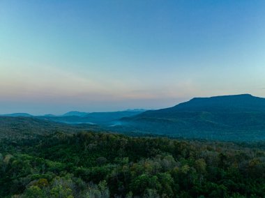 Renkli yapraklar Adorns Taşları ve Doğa Toprakları 