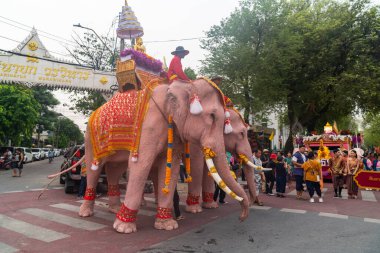 Bangkok, Tayland-Nisan 11.2024: Beyaz filler Songkran Günü 'nde büyük bir Songkran etkinliği düzenlemek için Noppamas geçit törenine katıldılar. 2024 Songkran Günü 'ne hoş geldin alayı