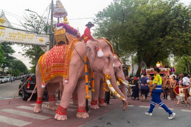 Bangkok, Tayland-Nisan 11.2024: Beyaz filler Songkran Günü 'nde büyük bir Songkran etkinliği düzenlemek için Noppamas geçit törenine katıldılar. 2024 Songkran Günü 'ne hoş geldin alayı