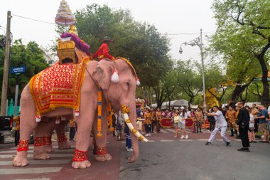 Bangkok, Tayland-Nisan 11.2024: Beyaz filler Songkran Günü 'nde büyük bir Songkran etkinliği düzenlemek için Noppamas geçit törenine katıldılar. 2024 Songkran Günü 'ne hoş geldin alayı