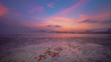 Uçsuz bucaksız denizin üzerinde gün doğumunda zaman akıp gider. Kızıl denizyıldızı deniz otuyla beslenir. Parlak turuncu deniz yıldızı kumsalda yavaşça hareket eder. Deniz yıldızı deniz otları boyunca yaşar. Uçsuz bucaksız denizin üzerinde hareket eden bulut