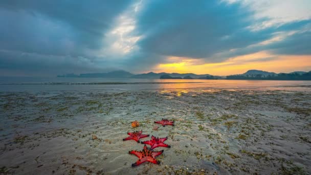 Time Lapse Sweet Sky Sunrise Vast Sea Red Starfish Feeds — Stockvideo