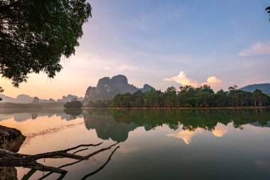 Sabahları bataklıkta güzel bir atmosfer.