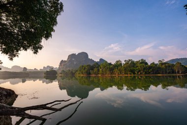 Sabahları bataklıkta güzel bir atmosfer.
