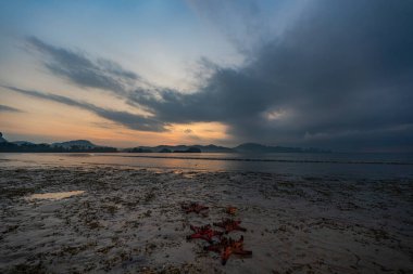Engin denizin üzerinde gün doğumunda tatlı gökyüzü