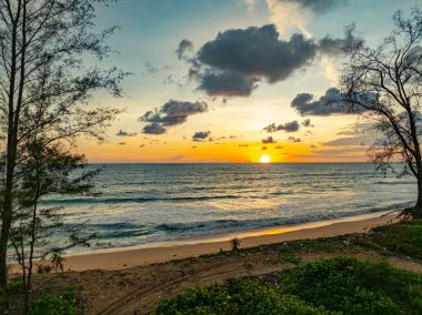 Çam ağacının üzerinde hava manzaralı güzel bir gün batımı. Gün batımının altın gökyüzünde güzel bir bulut. Soyut doğa arkaplanı