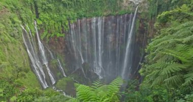 Endonezya 'daki Tumpak Sewu Şelalesinin hava görüntüsü