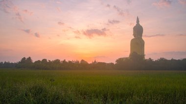 Altın Büyük Buda 'da gün doğumunda inanılmaz bir gökyüzü Tayland' da popüler bir simgedir. Dünyanın en büyük Buda 'sında güzel bir gün doğumu. Gökyüzünde bulutlu, romantik gökyüzü günbatımı sahnesi.