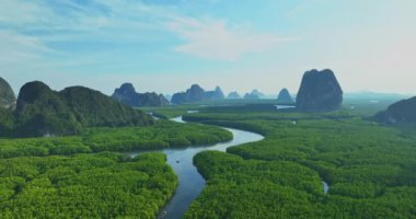 Mangrov ormanlarındaki hava manzaralı küçük kanallar birbirine bağlıdır.