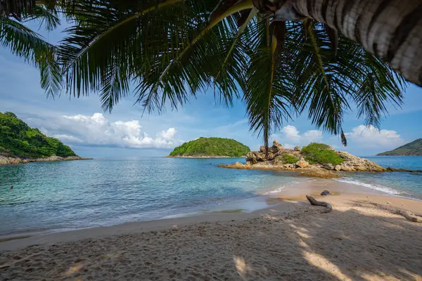 stock image Peer through the coconut trees on the beach to see a small island surrounded by blue water