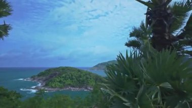 Phromthep Burnu, Tayland 'da yamaçtaki palmiye ağaçları