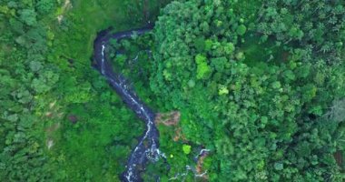 Görkemli bir şelalenin, yemyeşil bir uçurumdan, sisli bir havuza dökülüşünün havadan görüntüsü. Canlı yeşillik ve dramatik düşüş çarpıcı bir doğal manzara yaratır.