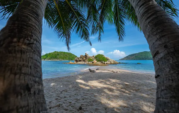 stock image Peer through the coconut trees on the beach to see a small island surrounded by blue water