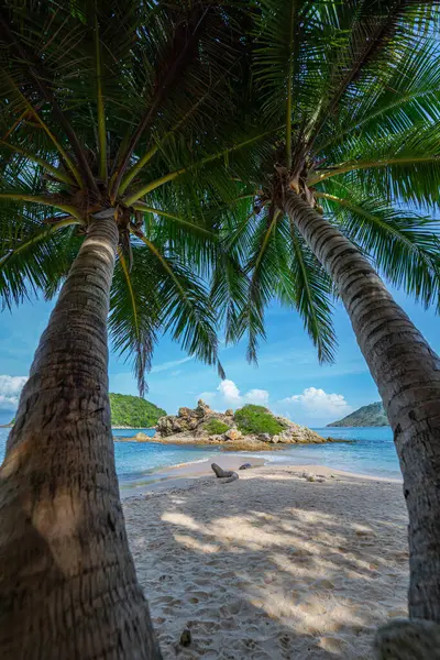 stock image Peer through the coconut trees on the beach to see a small island surrounded by blue water