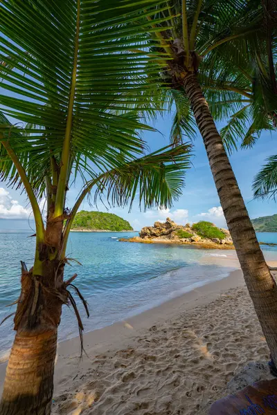 stock image Peer through the coconut trees on the beach to see a small island surrounded by blue water