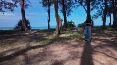 Deniz kenarındaki bir çam ağacının gölgesinde yürüyen genç bir kadının yavaş çekim videosu. Mavi gökyüzündeki çam ağaçları tüneli sahildeki çam ağaçlarında asılı hamaklar. güzel doğal arkaplan