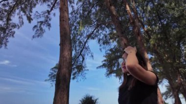 Deniz kenarındaki bir çam ağacının gölgesinde yürüyen genç bir kadının yavaş çekim videosu. Mavi gökyüzündeki çam ağaçları tüneli sahildeki çam ağaçlarında asılı hamaklar. güzel doğal arkaplan