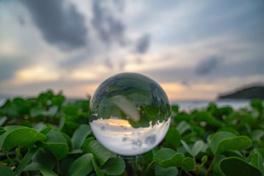 Time lapse Marbles placed on sea purslane. As the sun sets, the green shadows of sea purslane and the golden sun scene are in a clear marble clipart