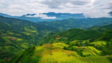 Yüksek dağdaki altın sarısı pirinç teraslarının hava hiper yanıltıcı görüntüsü
