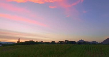 Parlak günbatımı gökyüzünün altında uzun, renkli bir dağ sırasının ve bir ayçiçeği tarlasının güzel manzarası.. 