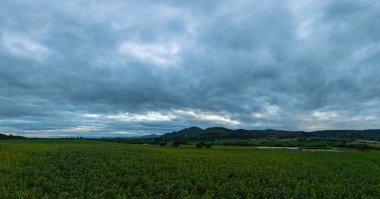 Parlak günbatımı gökyüzünün altında uzun, renkli bir dağ sırasının ve bir ayçiçeği tarlasının güzel manzarası. Bu görüntü, kırsal kesimin doğal güzelliğini, sükunetini ve çekiciliğini yansıtıyor..