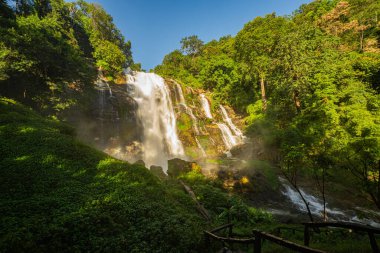 Manzaralı bir patika, yemyeşil sularla çevrili çağlayan bir şelaleye götürür ve sisin içinde canlı bir gökkuşağı oluşur. Bu huzurlu doğal ortam su, ışık ve orman yaşamının uyumunu yakalar.. 