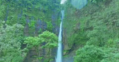 Doğu Java 'da Kabut Pelangi Şelalesi havadan görünüyor. Şelale deresi uzun bir yoldan dağ geçidine akar. Yukarıda köylülerin evi bulunur. Yeşil dağdaki ormanların bolluğu