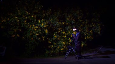 Elinde fener tutan bir kişi, gece parlak sarı çiçekleri aydınlatarak dingin ve mistik bir atmosfer yaratır. Bu görüntü doğal güzelliği, sükuneti ve cazibeyi yakalar.