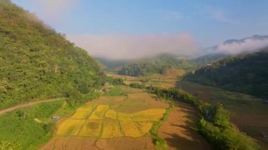 Misty Farmlands 'ın hava hiper yanılma görüntüsü