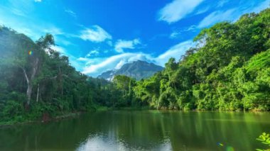 Bulutların zaman akışı ormandaki yüksek dağın tepesinde yansıyor