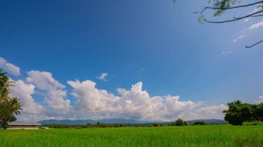 Zaman, pirinç tarlasının üzerindeki mavi gökyüzünde beyaz bulutları eritiyor.